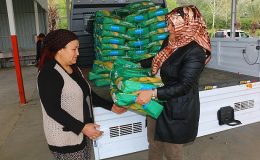 Büyükşehir Belediyesi’nden silajlık mısır tohumu desteği