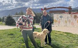 Büyükşehir 3202 Can Dostu Yeni Yuvalarına Kavuşturdu